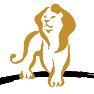 Team Page: AngloGold Ashanti